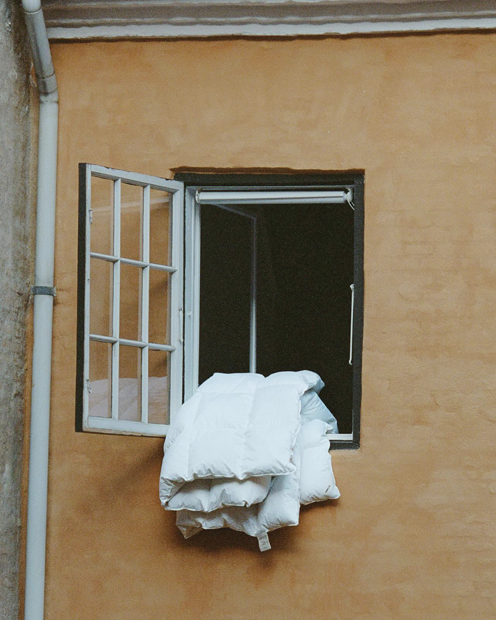 A detail from the everyday collection